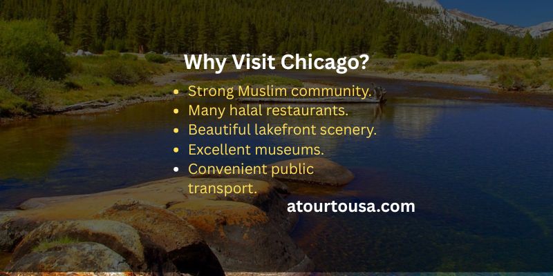 Why Visit Chicago