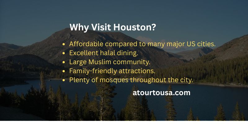Why Visit Houston