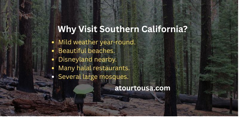 Why Visit Southern California
